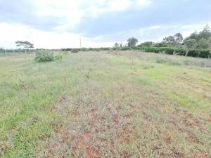 Land for sale Nanyuki Nanyuki