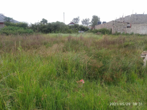 Land for sale Ruiru Kiambu