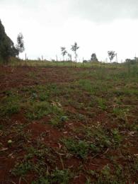 Land for sale Tigoni Limuru