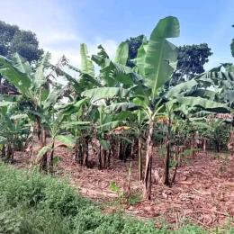 Land for sale Kira  Kampala Central Kampala Central