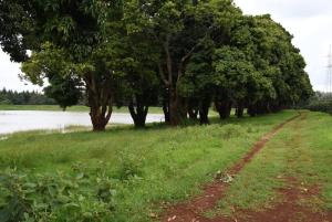 Land for sale Juja Kiambu