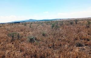 Land for sale Joska Nairobi