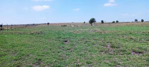 Land for sale Isinya Isinya