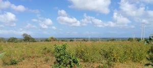 Land for sale Malindi Kilifi