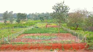 Land for sale Ruiru Kiambu