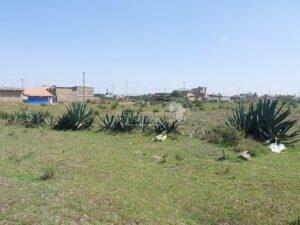 Land for sale Juja Kiambu