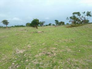Land for sale Malindi Kilifi