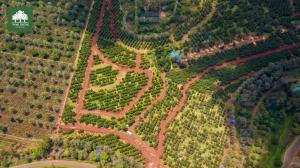 Land for sale Thika Kiambu