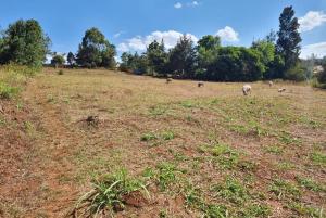 Land for sale Kikuyu Kiambu