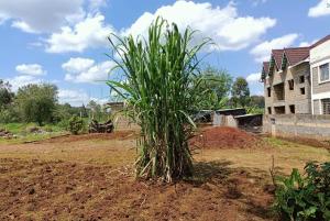 Land for sale Thika Kiambu