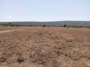 Land for sale Athi RIver Machakos