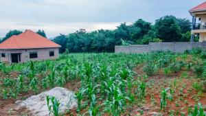 Land for sale Kampala Central Kampala Central