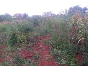 Land for sale Namugongo  Kampala Central