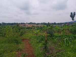 Land for sale Nakasajja Gayaza road  Kalagala Mukono Central