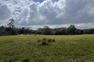 Land for sale Tigoni Limuru