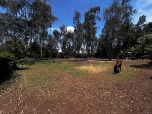 Residential Land for sale Karen-Langata Road Karen Nairobi