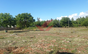 Land for sale near Turtle Bay, Watamu Watamu