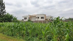 Land for sale Runda Nairobi