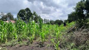 Land for sale Ngong Kajiado