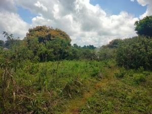 Land for sale Riara ridge Tigoni Limuru