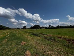 Land for sale Runda Nairobi