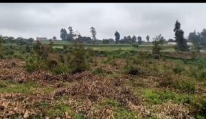 Land for sale Riara ridge Tigoni Limuru