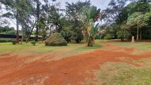 Land for sale Runda Nairobi