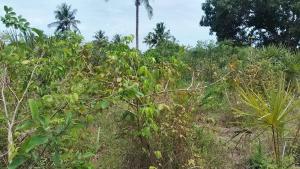 Commercial Land for sale mwabungo, Ukunda Ukunda Kwale