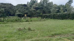Land for sale Ngong Kajiado