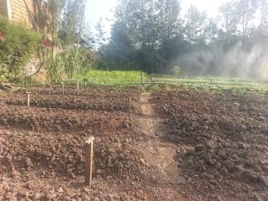 Land for sale Ngong Kajiado