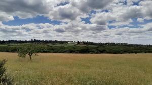 Land for sale Kiserian Kiserian