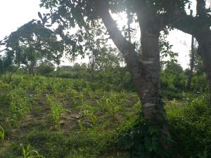 Land for sale Matuga Matuga Kwale