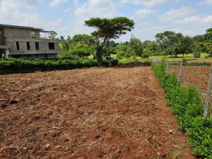 Residential Land for sale Migaa Kiambu Kiambu