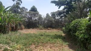 Land for sale Ngong Kajiado