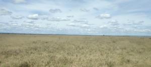 Land for sale Konza city Mua Machakos