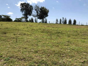 Land for sale Nanyuki Nanyuki