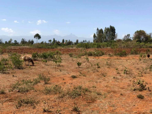 Land for sale Nanyuki Nanyuki