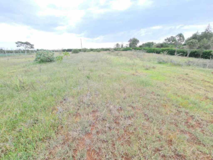 Land for sale Nanyuki Nanyuki