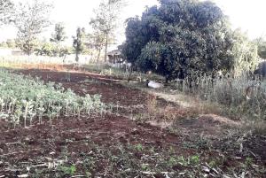 Land for sale Thika Thika Kiambu