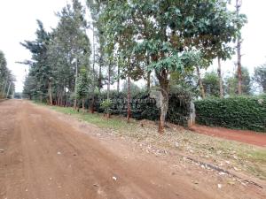 Land for sale Ruiru Kiambu