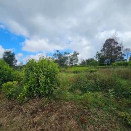 Land for sale Tigoni Limuru