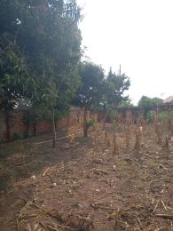 Land for sale Kasangati nangabo road  Gayaza Wakiso Central