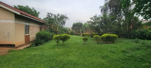Land for sale Bukoto  Kampala Central Kampala Central