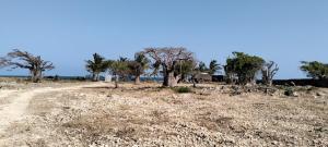Land for sale Malindi Kilifi