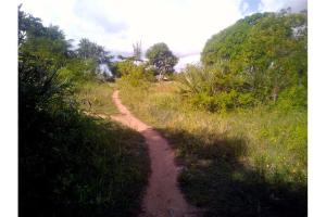 Land for sale Diani Mombasa