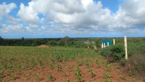 Land for sale Malindi Kilifi