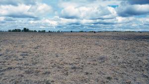 Land for sale Kitengela Kajiado