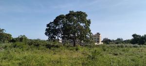 Land for sale Malindi Kilifi