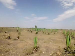 Land for sale Ruai Nairobi