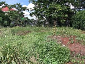 Land for sale Kamakis Ruiru